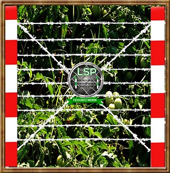 chainlink-fencing-work